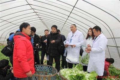 排名第一,武汉东西湖获评全省“农产品质量安全区”