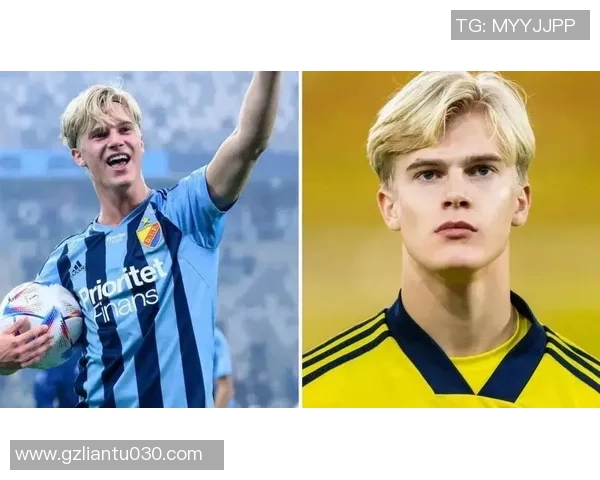 女朋友与足球明星的浪漫赛季在绿茵场上的爱与梦想交织